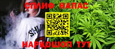 ешки Камышлов